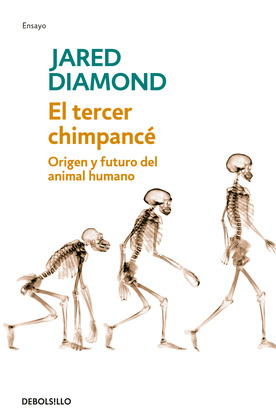 TERCER CHIMPANCE, EL
