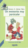 UN METEORITO MUY PARTICULAR