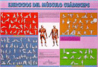 EDUCACION FISICA E.MEDIAS (T)