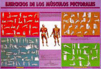 KINESIOTERAPIA