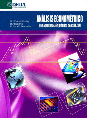 ANALISIS ECONOMETRICO
