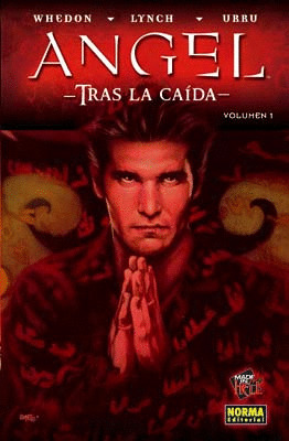 ANGEL TRAS LA CAIDA VOL.I