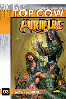 ARCHIVOS DE TOP COW WITCHBLADE 3