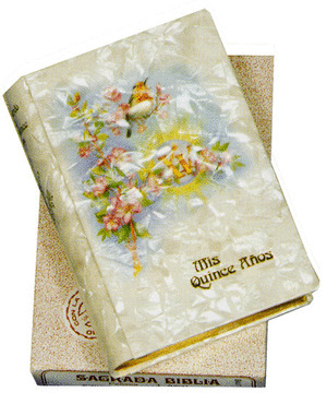 BIBLIA PETISCO NORMAL XV AÑOS
