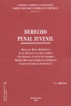 DERECHO PENAL JUVENIL 2ED