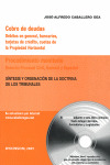 COBRO DE DEUDAS. PROCEDIMIENTO MONITORIO