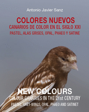 COLORES NUEVOS - NEW COLOURS