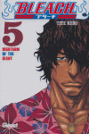 BLEACH, 5