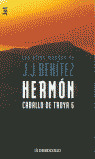 CABALLO TROYA 6 (B)