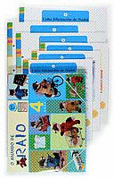 O MUNDO DE RAIO 4-1º TRIM.