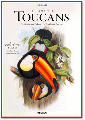 THE FAMILY OF TOUCANS-THE COMPLET PLATES