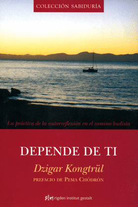 DEPENDE DE TI: LA PRACTICA DE LA AUTORREFLEXION EN EL CAMINO BUDISTA