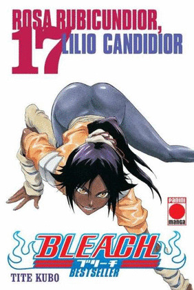 BLEACH BESTSELLER 17- MANGA