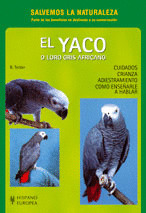 EL YACO O LORO GRIS AFRICANO