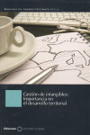 GESTION DE INTANGIBLES IMPORTANCIA EN EL DESARROLL