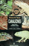 MANUALES DEL TERRARIO. CAMALEONES: ESPECIES