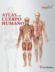 MEDILLUST: ATLAS DEL CUERPO HUMANO