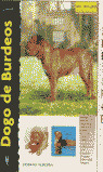 DOGO DE BURDEOS