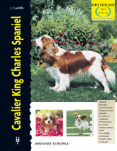 CAVALIER KING CHARLES SPANIEL (EXCELLENCE)