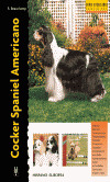 COCKER SPANIEL AMERICANO