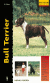 BULL TERRIER/EXCELLENCE