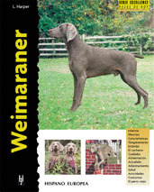 WEIMARANER