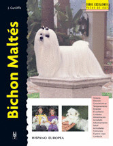BICHON MALTES. SERIE EXCELLENCE DE RAZAS DE HOY