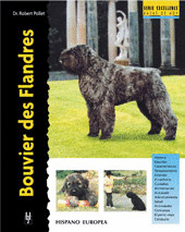 BOUVIER DES FLANDRES/EXCELLENCE