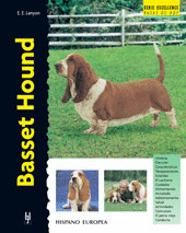BASSET HOUND -EXCELLENCE