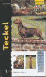 TECKEL - EXCELLEMCE