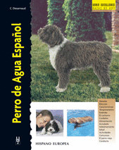 EXCELLENCE PERRO AGUA ESPAÑOL