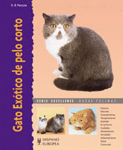 GATO EXOTICO DE PELO CORTO