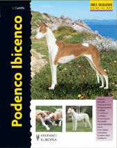 PODENCO IBICENCO (EXCELLENCE)