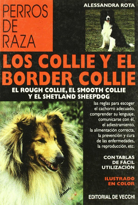 LOS COLLIE Y EL BORDER COLLIE