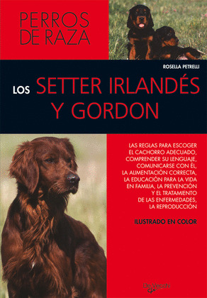 SETTER IRLANDES Y GORDON, LOS