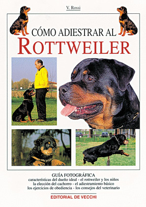 COMO ADIESTRAR AL ROTTWEILER