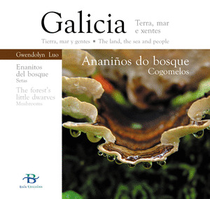ANANIÑOS DO BOSQUE: COGOMELOS