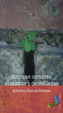 HAY QUE COMERSE EL MUNDO A DENTELLADAS/90