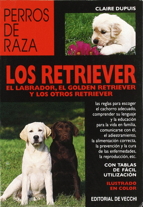 GOLDEN RETRIEVER
