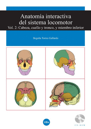 CABEZA Y CUELLO, TRONCO Y MIEMBRO INFERIOR