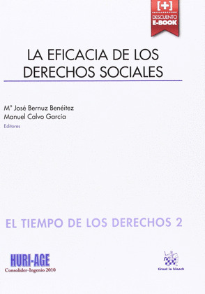 LA EFICACIA DE LOS DERECHOS SOCIALES