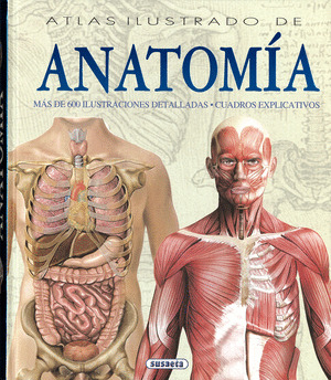 ANATOMIA
