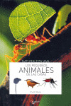 PEQUEÑOS ANIMALES DE LAS CASAS, LOS