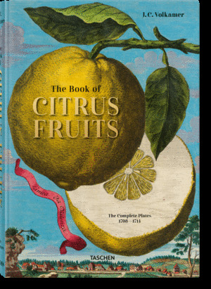 VOLKAMER. CITRUS FRUITS