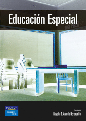 EDUCACION ESPECIAL: AREAS