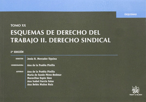 ESQUEMAS DE DERECHO DEL TRABAJO II. DERECHO SINDICAL - TOMO XX