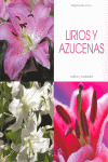 LIRIOS Y AZUCENAS                (CULTIVO Y CUIDADOS)
