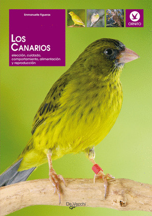 CANARIOS.(ORNITO)