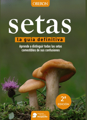 SETAS. LA GUÍA DEFINITIVA