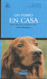 EL PERRO EN CASA